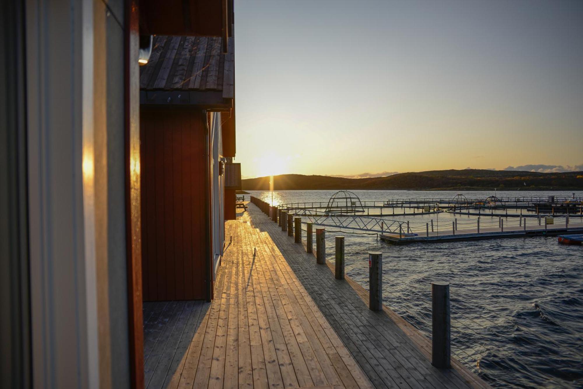 Norsk Havbrukssenter - Rorbuer